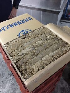 Shochu Pros Shochu’sday #15: What is kokuto sugar?